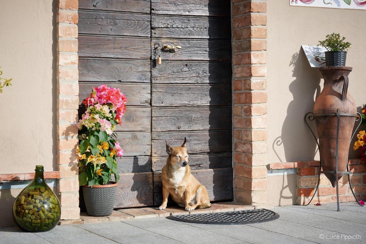 Penzion Agriturismo Cascina Sciulun Monforte dʼAlba Exteriér fotografie